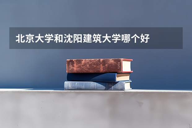 北京大学和沈阳建筑大学哪个好