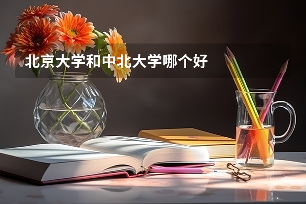 北京大学和中北大学哪个好