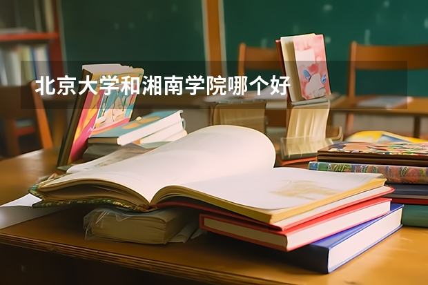 北京大学和湘南学院哪个好