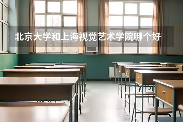 北京大学和上海视觉艺术学院哪个好