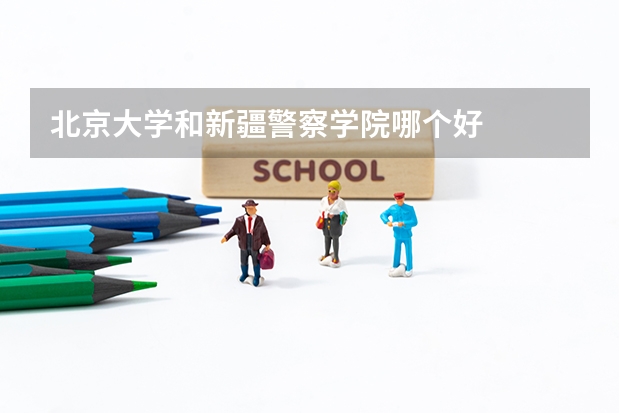 北京大学和新疆警察学院哪个好