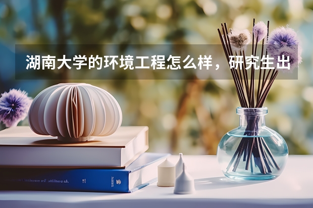 湖南大学的环境工程怎么样,研究生出来好就业吗,还有谁知道湖大环境
