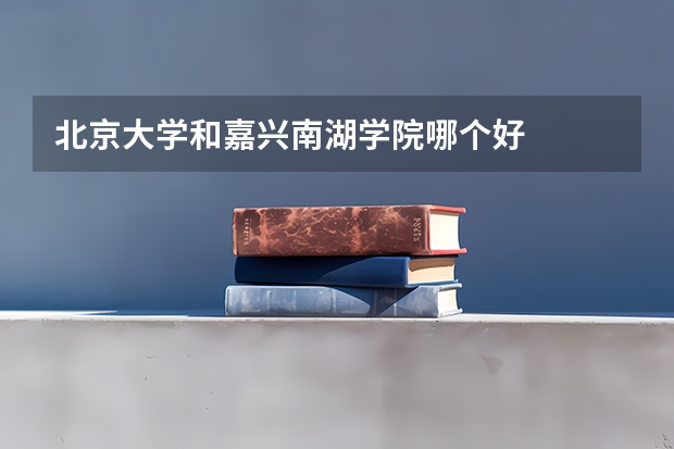 北京大学和嘉兴南湖学院哪个好