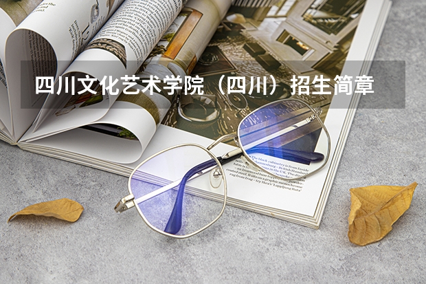 四川文化艺术学院(四川)招生简章 深圳大学2024年高考招生简章及各省招生计划人数