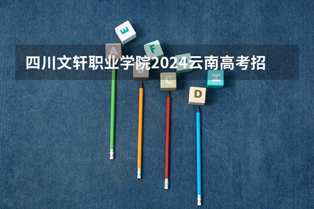 四川文轩职业学院2024云南高考招生计划详解