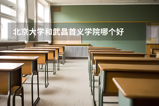 北京大学和武昌首义学院哪个好
