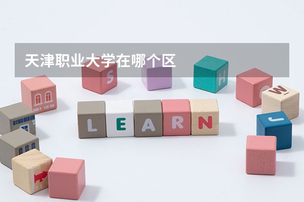 天津职业大学在哪个区
