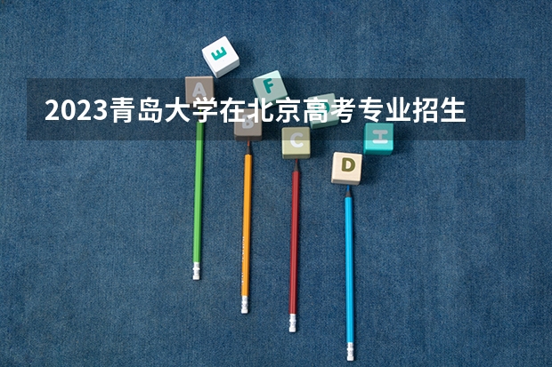 2023青岛大学在北京高考专业招生计划人数