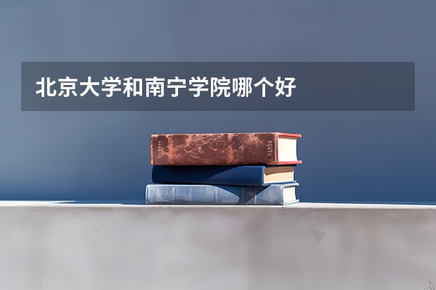 北京大学和南宁学院哪个好
