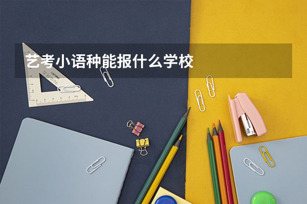 艺考小语种能报什么学校