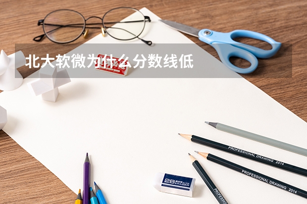 北大软微为什么分数线低