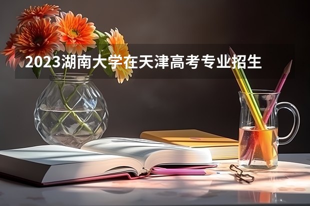 2023湖南大学在天津高考专业招生计划人数