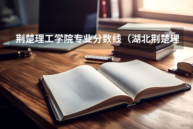 荆楚理工学院专业分数线（湖北荆楚理工学院分数线）