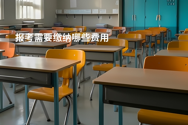 报考需要缴纳哪些费用