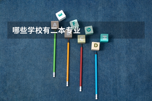 哪些学校有二本专业