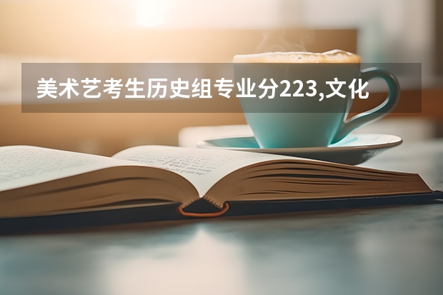 美术艺考生历史组专业分223,文化分466能报哪里大学