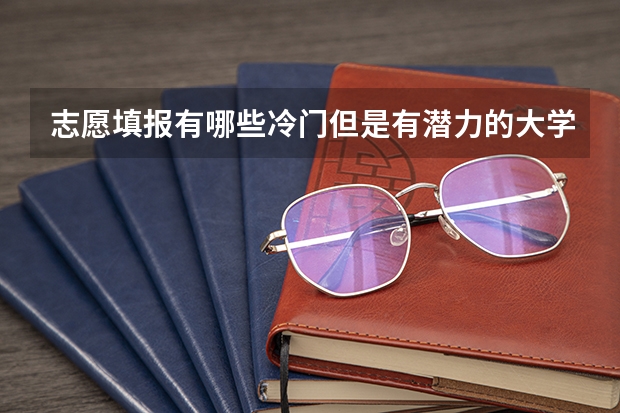 志愿填报有哪些冷门但是有潜力的大学专业？