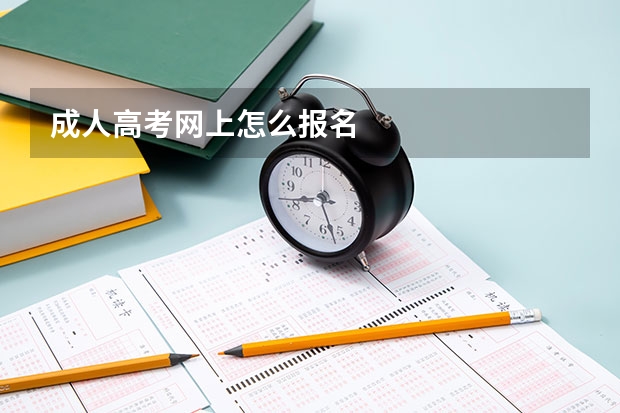 成人高考网上怎么报名
