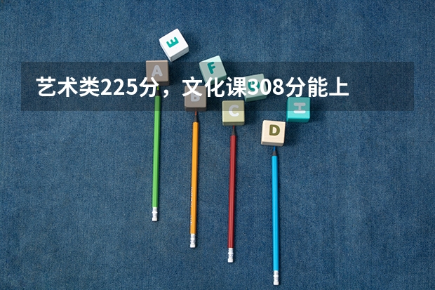 艺术类225分,文化课308分能上公办学校吗