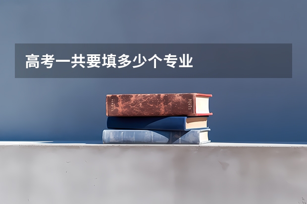 高考一共要填多少个专业