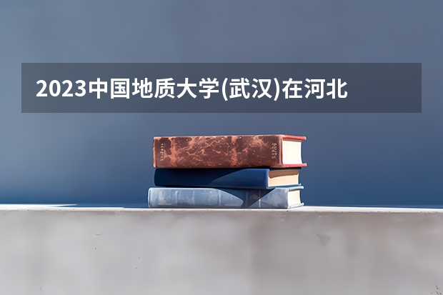 2023中国地质大学(武汉)在河北高考专业招生计划人数