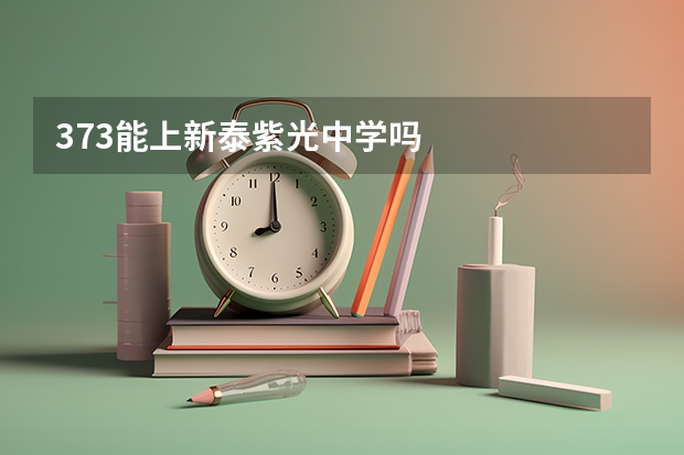373能上新泰紫光中学吗