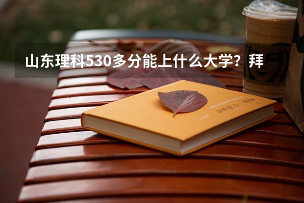 山东理科530多分能上什么大学？拜托各位了 3Q