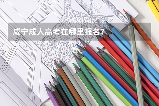 咸宁成人高考在哪里报名?