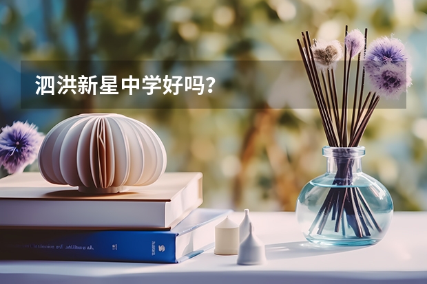 泗洪新星中学好吗？