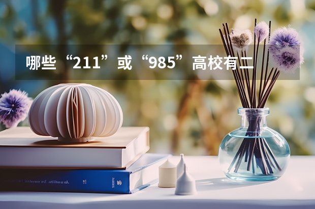 哪些“211”或“985”高校有二本专业？
