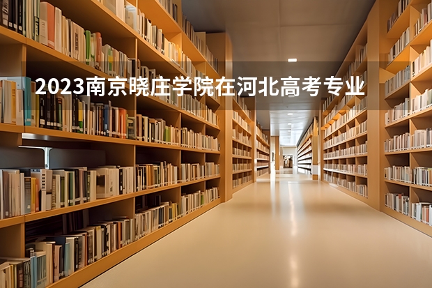 2023南京晓庄学院在河北高考专业招生计划人数