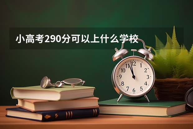 小高考290分可以上什么学校
