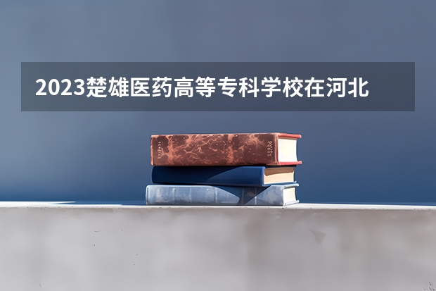 2023楚雄医药高等专科学校在河北高考专业招生计划人数