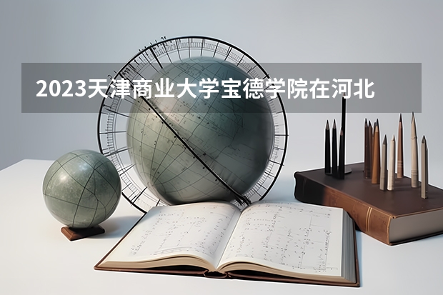2023天津商业大学宝德学院在河北高考专业招生计划人数