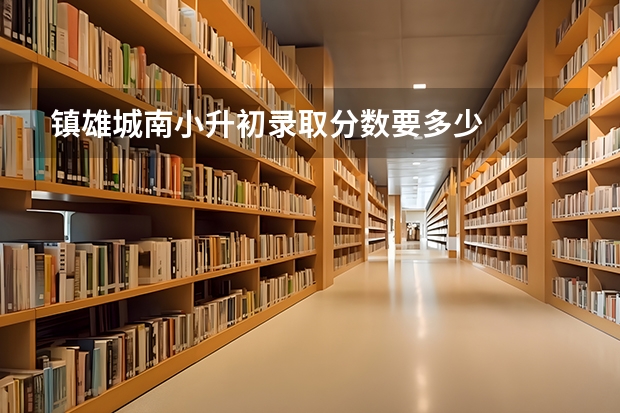 镇雄城南小升初录取分数要多少