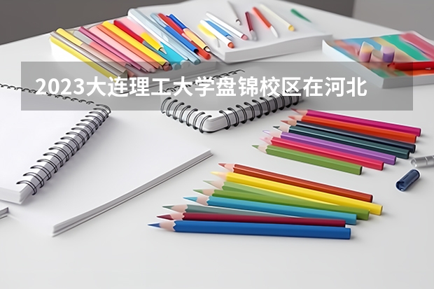 2023大连理工大学盘锦校区在河北高考专业招生计划人数