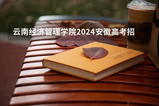 云南经济管理学院2024安徽高考招生计划详解