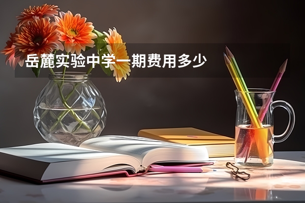 岳麓实验中学一期费用多少