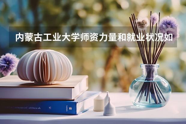 内蒙古工业大学师资力量和就业状况如何