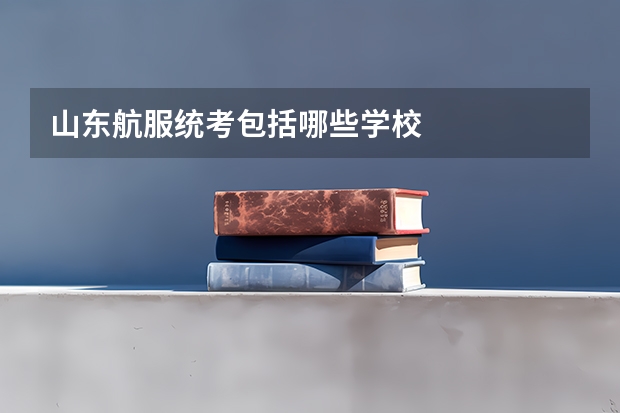 山东航服统考包括哪些学校