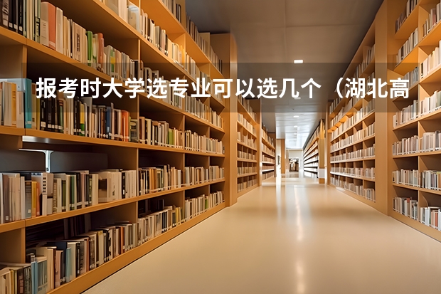 报考时大学选专业可以选几个（湖北高考志愿可以填几个学校几个专业）