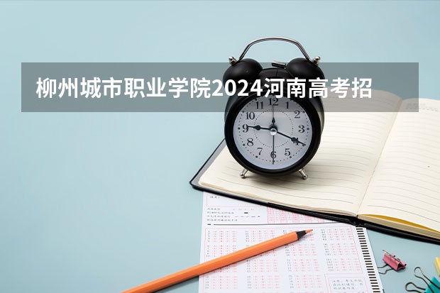 柳州城市职业学院2024河南高考招生计划详解