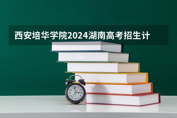 西安培华学院2024湖南高考招生计划详解