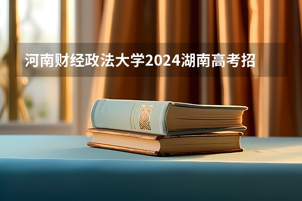 河南财经政法大学2024湖南高考招生计划详解