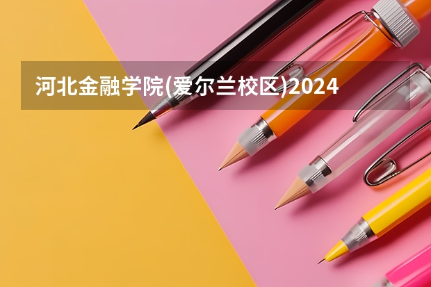 河北金融学院(爱尔兰校区)2024河北高考招生计划详解