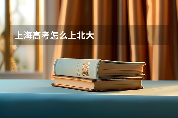 上海高考怎么上北大