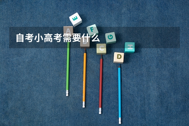 自考小高考需要什么