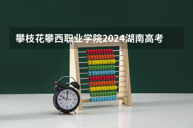 攀枝花攀西职业学院2024湖南高考招生计划详解
