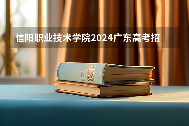 信阳职业技术学院2024广东高考招生计划详解