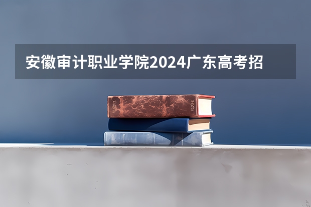 安徽审计职业学院2024广东高考招生计划详解
